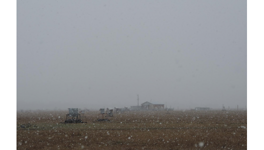 Wintry conditions at the TAIGA project. Through the snow 3 HiSCORE stations and the “counting room”  (the wooden building) with all central computers and the White Rabbit central hardware are visible. Image credit: Taiga Collaboration.